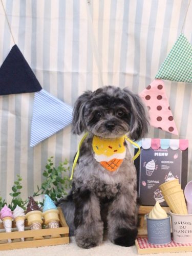 20250501うにちゃん